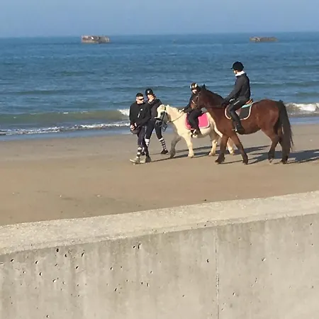 Studio Plein Ciel